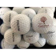 Pro V1 \ Pro V1x Practice Stamp Golf Balls